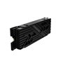 Disque dur Predator BL.9BWWR.122 1 TB SSD