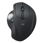 Souris Logitech 910-007260 Graphite