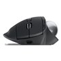 Souris Logitech 910-007260 Graphite
