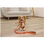 Collier pour Chien Kerbl 80100 Noir Orange Imprimé 45 cm 36 cm