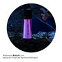 Lampe Torche LED Ledlenser 500929 750 Lm