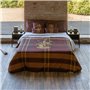 Housse de Couette Harry Potter Gryffindor 140 x 200 cm Lit 1 persone