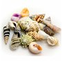 Coquillages Akvastabil Sea