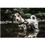 Harnais pour Chien Julius K9 Power XL 3