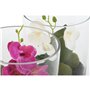 Plante décorative Home ESPRIT PVC Verre 15 x 15 x 20 cm (2 Unités)