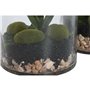 Plante décorative Home ESPRIT PVC Verre 15 x 15 x 20 cm (2 Unités)