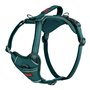 Harnais pour Chien Company of Animals Turquoise S 28-42 cm