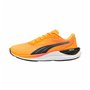 Chaussures de Running pour Adultes Puma Electrify Nitro 3 Fade