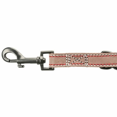 Laisse pour Chien Trixie Marron M/L 2 m