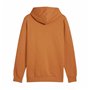 Sweat à capuche homme Puma Essentials Big Logo Hoodie Fl