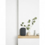Google Nest Audio (Charcoal) Enceinte Connectée 119,99 €