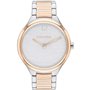 Montre Femme Calvin Klein 25100049