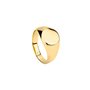 Bague Homme Radiant RH000131-24 24