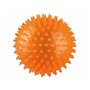 Boule pour animaux de compagnie Trixie Caoutchouc TPR Ø 12 cm