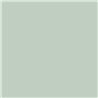 RIPOLIN Peinture Couleur Satin Ultra Couvrante pour Cuisine, Chambre, Salon, Salle, Entrée, Couloir - Vert Palatino