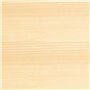BONDEX Lasure 2 en 1 Satin Haute Protection 5 ans - Incolore