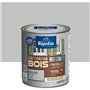 RIPOLIN Peinture Bois Satin Haute Protection 10 ans qui Protege et Magnifie vos Bois - Gris clair