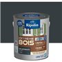 RIPOLIN PROTECTION EXTREME BOIS GRIS ANTHRACITE RAL70 Satin 2,5 L