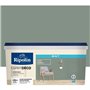Peinture de décoration murale intérieure - Vert nobile mat - RIPOLIN - 2,5 L