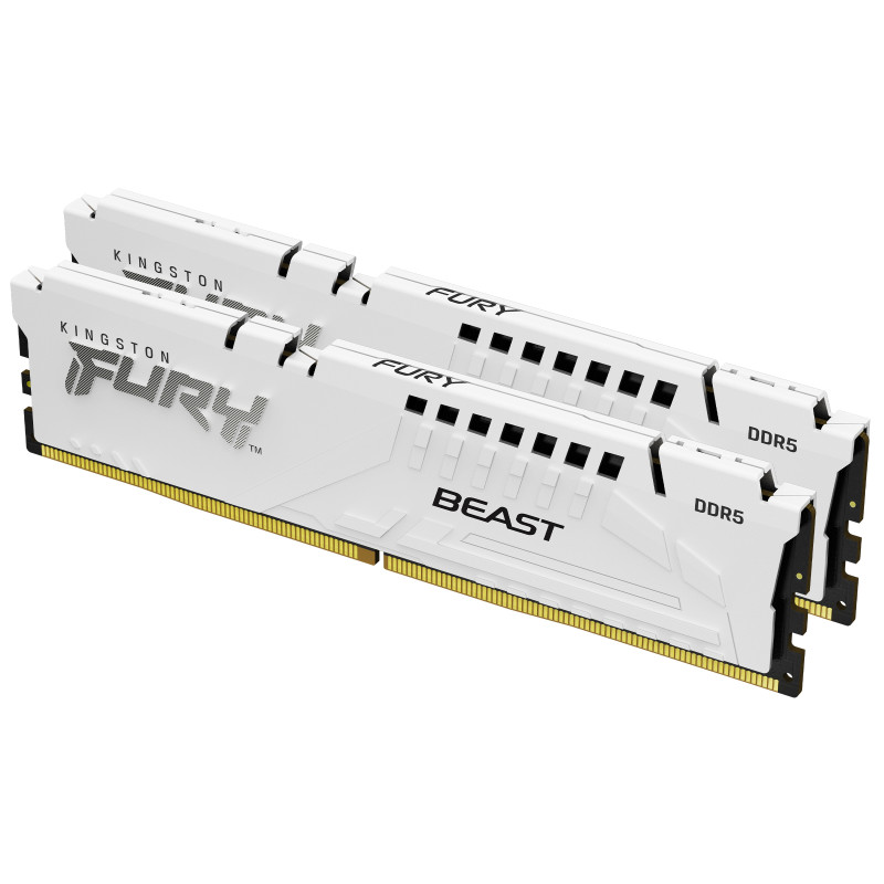 Kingston Technology FURY Beast 32 Go 5600 MT/s DDR5 CL36 DIMM (Kits de 2) White EXPO