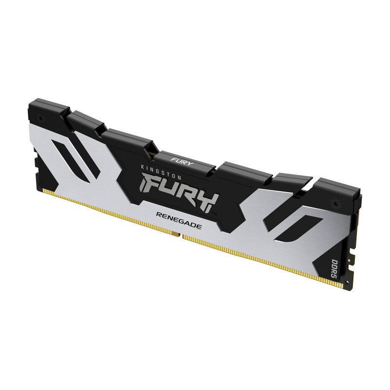 Kingston Technology FURY 24 Go 7200 MT/s DDR5 CL38 DIMM Renegade Argent XMP