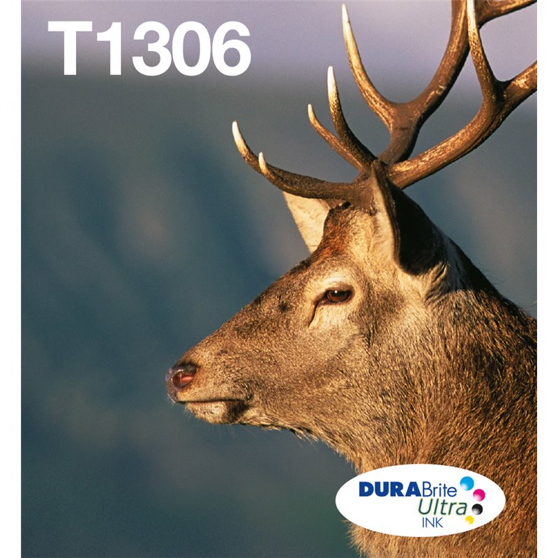Image secondaire de Epson Stag Multipack 3-colours T1306 DURABrite Ultra Ink EasyMail