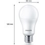 Ampoule LED - PHILIPS - 100 W - A67 E27 - Blanc froid - Non dimmable x 3