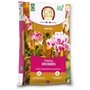 Terreau orchidées - OR BRUN - OBRTORC6U - 6L - Favorise la croissance