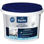 Peinture anti-humidité - RIPOLIN - 424185 - Blanc - Satin - 10 L