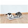 Grattoir pour Chats Trixie Gris Gris clair Polyester Sisal EVA 55 × 35 cm