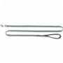 Laisse pour Chien Trixie Premium Vert 1,8 m XS/S