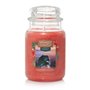 Bougie Parfumée Yankee Candle Cliffside Sunrise 623 g
