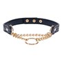 Collier de punition Sportsheets Sex and Mischief