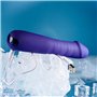 Vibromasseur classique Evolved Selopa Violet