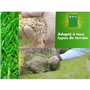 Gazon - BHS - Gazon Rustique 1 KG - Plus résistant et mieux protégé - Rapide et Durable - Tous Types de Terrain et Climats, Robu
