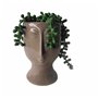 Plante décorative DKD Home Decor Céramique PE (11 x 10 x 16 cm)