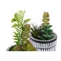 Plante décorative DKD Home Decor Céramique Noir Polyéthylène Blanc Vert (7 x 7 x 19 cm) (2 Unités)