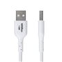 Câble USB Startech USB2AC2MNCWHE Blanc 2 m