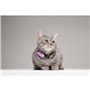 Répulsif ultrason chat - TICKLESS MINI CAT - Protection tiques et puces - Organ Purple