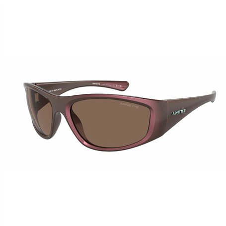 Lunettes de soleil Homme Arnette AN4331-292773