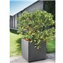 Pot de fleur Cube - DEROMA - Millennium R - Anthracite - A réserve d'eau - Roulettes - 49 cm