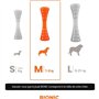Jouet pour chien - BIONIC - Bâton Urban stick - Taille Medium 23 cm - En caoutchouc ultra résistant - sans plomb, BPA ni phtalat