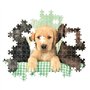 CLEMENTONI - Compact 1000 pieces - Three Labs