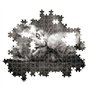 CLEMENTONI - Compact 1000 pieces - Kitty