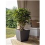 Bac a fleurs - DIVA BASALT - Gris anthracite - Carré - 42 L - 43,5 x 43,5 x H.44,2 cm - EDA - Bac intérieur amovible