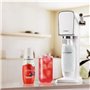 Concentrés SODASTREAM - Lot de 6 concentrés Grenadine sans sucres - Jusqu'a 54L de boissons - 440 ml