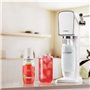Concentrés SODASTREAM - Lot de 6 concentrés Fraise sans sucres - Jusqu'a 54L de boissons - 440 ml