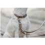 Laisse pour Chien Hunter Inari Beige 200 cm