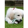 Jouet pour chien Nylabone SENSORY TACTILE RING Vert Beurre de cacahuètes Poulet S