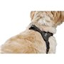 Harnais pour Chien Hunter SOHO MINI Noir XS